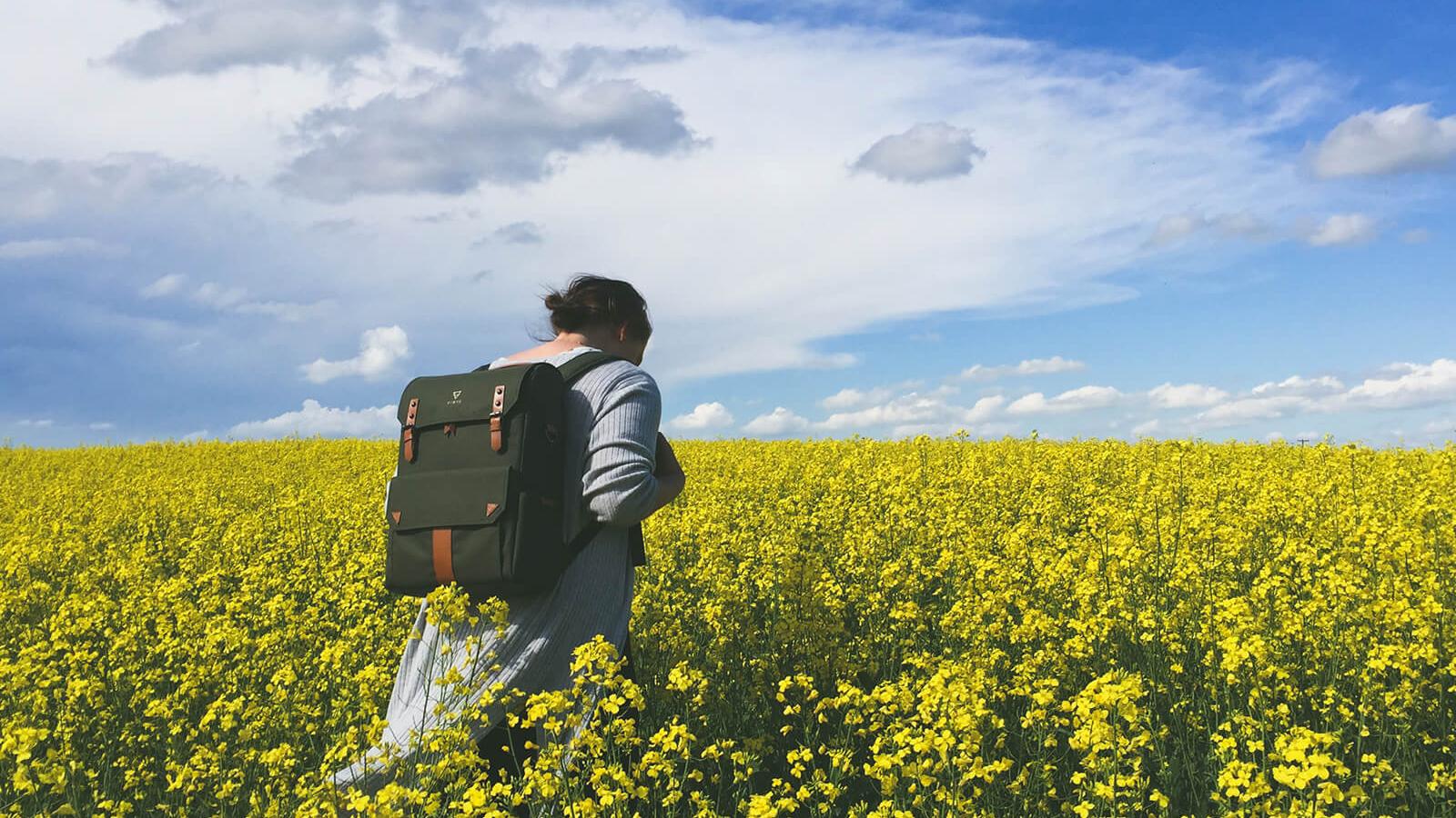 Der Wander im Rapsfeld mit einen langen Titel. Eigentlich ist der Titel zu lang, aber es ist eben so wie es ist, da kann man leider nichts machen.